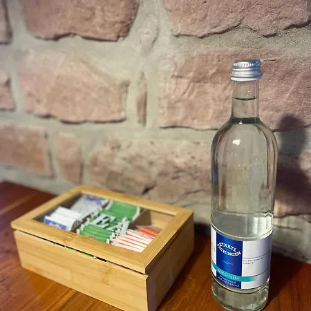 Stilvolle Maisonette カイザースラウテルン